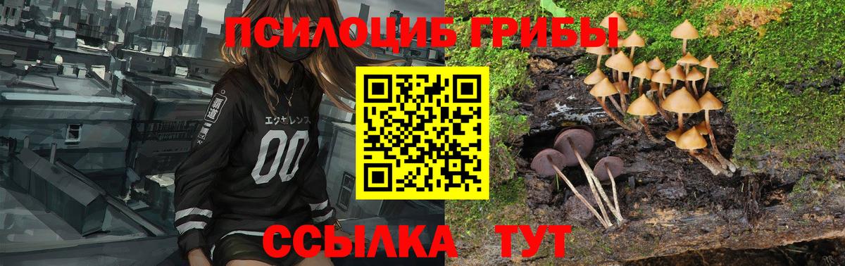 Галлюциногенные грибы Cubensis Кострома