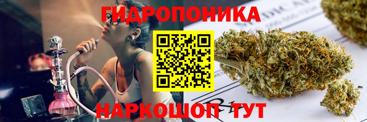 Конопля семена  Конопля OG Kush  Конопля MAZAR  Вход с VPN  Бошки марихуана THC 21%  Кострома 
